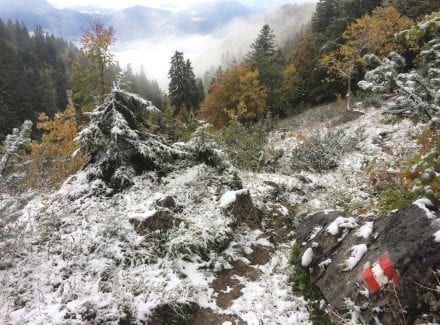 Wegweiser bei leicht angezuckerter Schneelandschaft